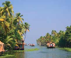 Munnar Tourism Honeymoon